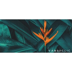 VarioClic  AC4/32 8mm
